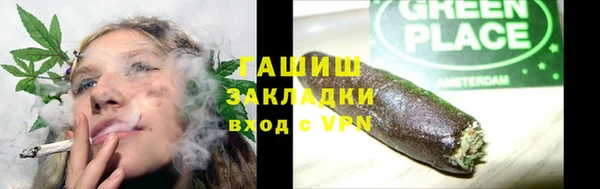 хмурый Аркадак