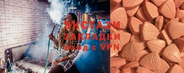 хмурый Аркадак
