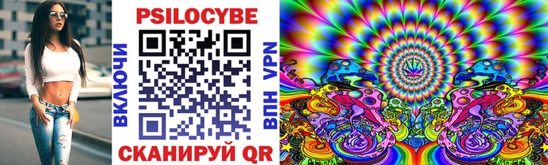 Псилоцибиновые грибы Cubensis Верхняя Салда