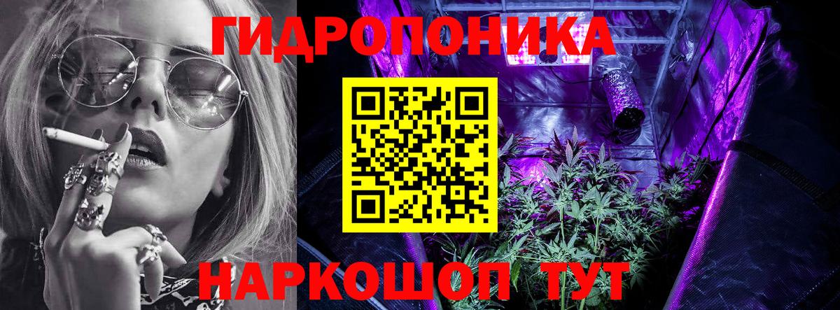 Каннабис сатива Верхняя Салда